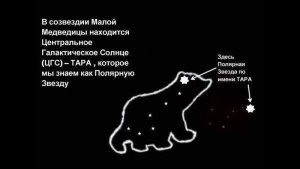 Звезды в созвездии малой медведицы