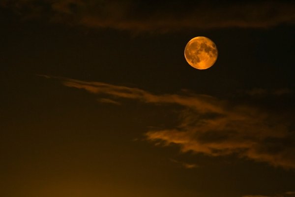 Лунная ночь осень