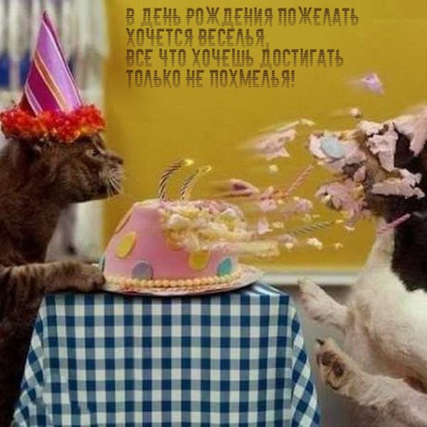 Смешные поздравления с днем рождения