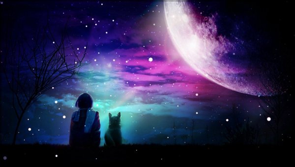 Человек в космосе