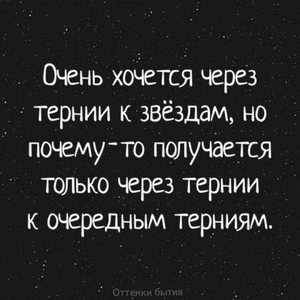 Через тернии к звездам погоны