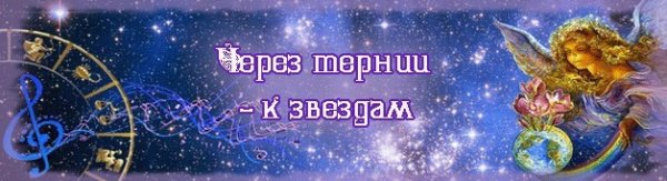 Девиз через тернии к звездам