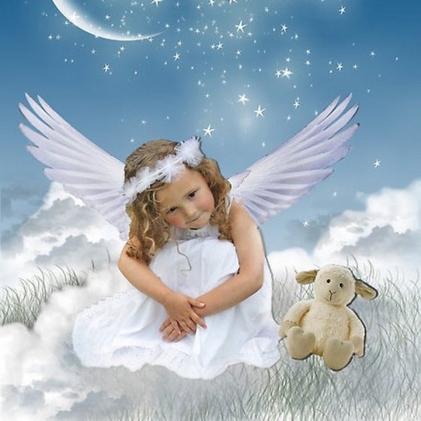 Влюбленные летают