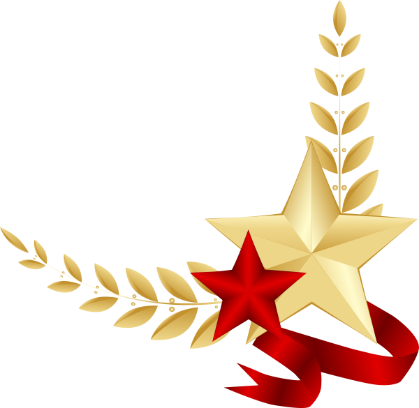 Звезда 23 февраля