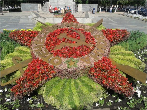 Зеленстрой Орел топиарные фигуры