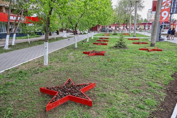 Клумба в виде звезды Победы