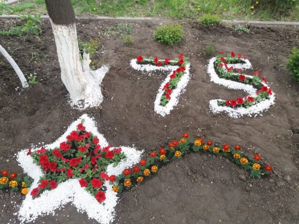 Цифры из цветов на клумбе