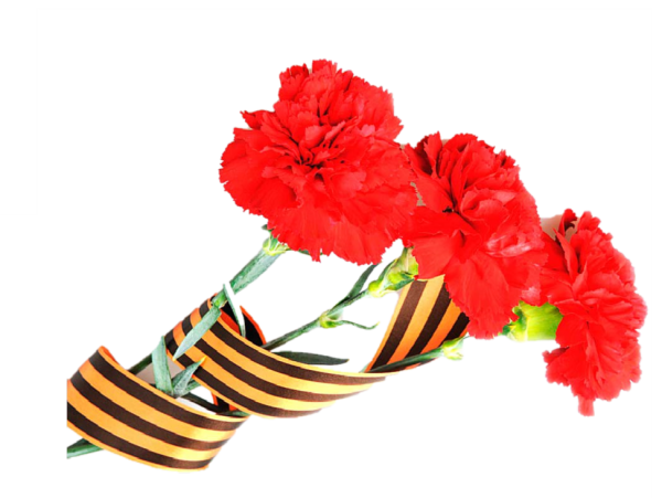 Гвоздики с георгиевской лентой