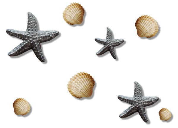 Морское на прозрачном фоне