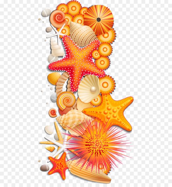 Морская Звездочка