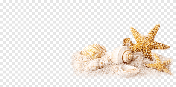 Морская тематика на белом фоне