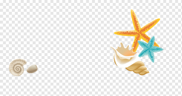 Звезды ракушки вектор