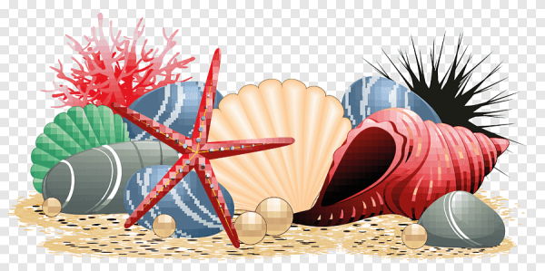 Ракушки мультяшные