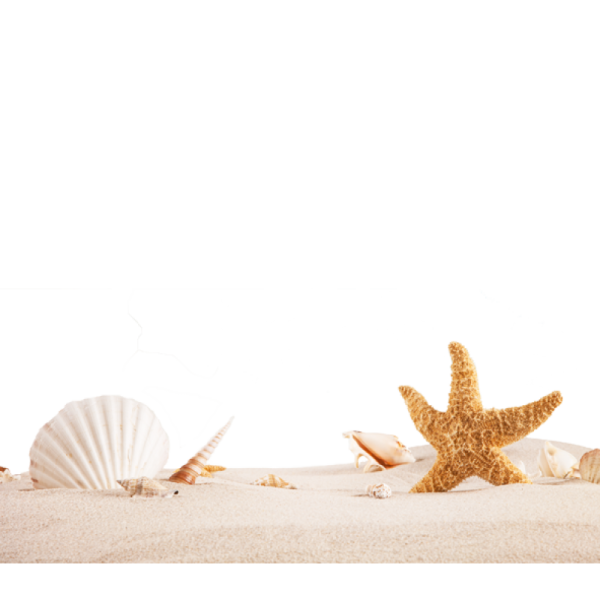 Морской песок на прозрачном фоне