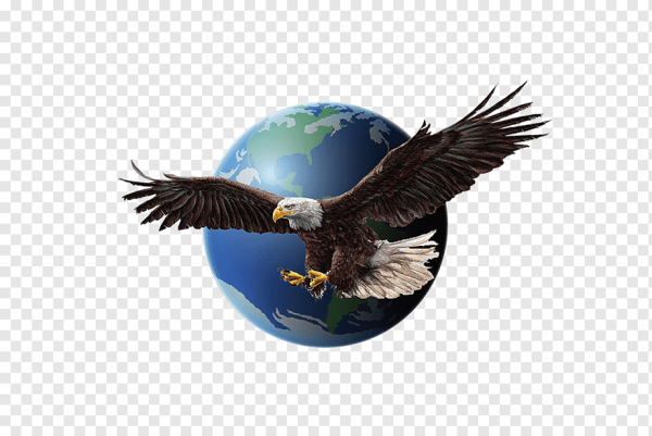 Летящий орёл