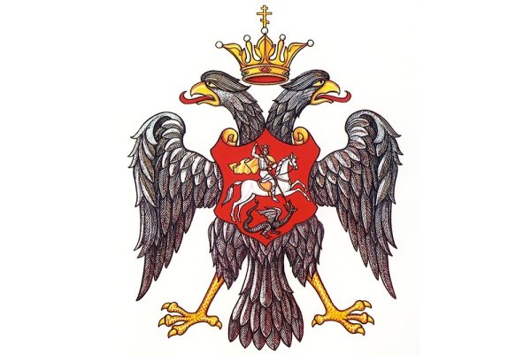 Беркут картина