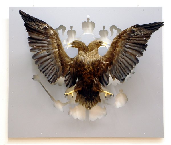 Орел в небе