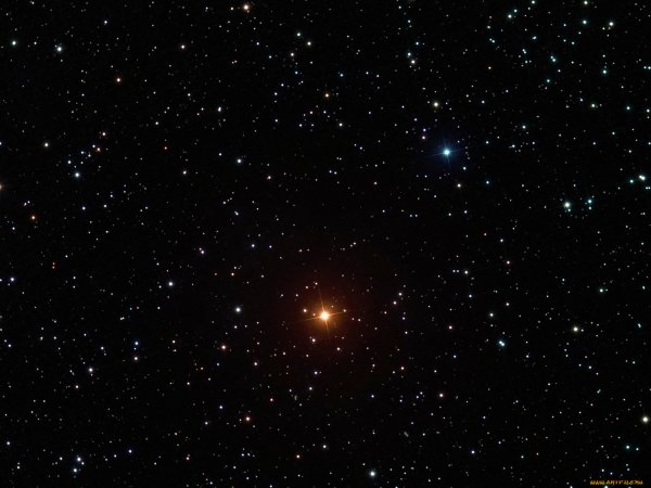 Брахиум звезда