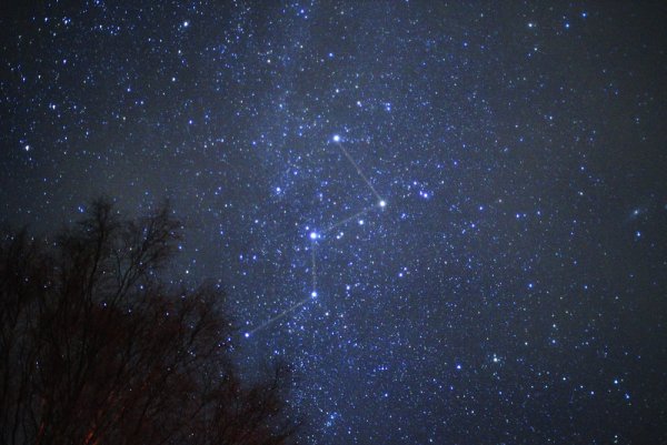 Астеризм созвездия большая Медведица