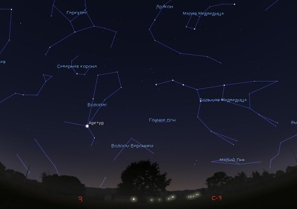 Полярная звезда Созвездие
