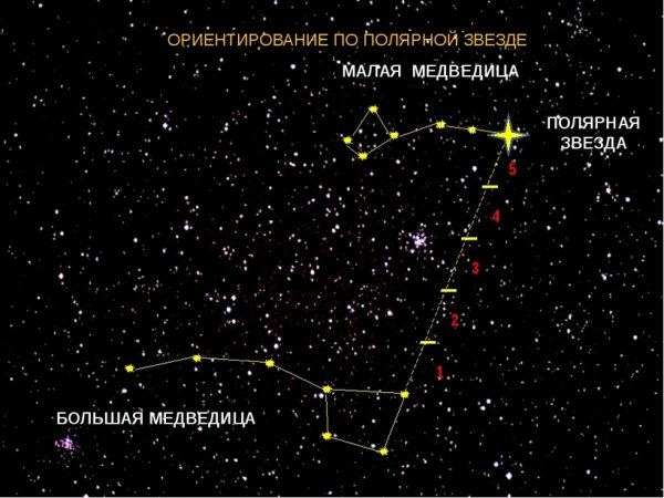 Полярная звезда от ковша большой медведицы