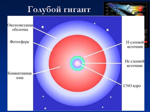 Модель полностью конвективной звезды элементы структуры