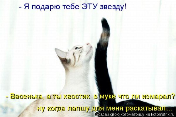 Я подарю тебе эту звезду мультфильм