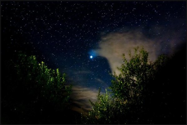 Звездное небо из травы