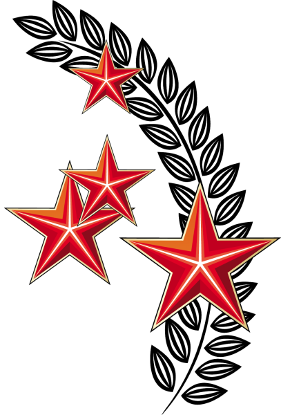 Звезда с георгиевской лентой