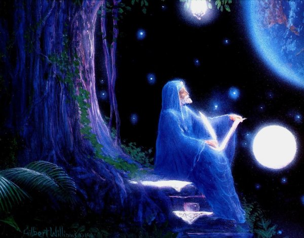 Волшебник вектор