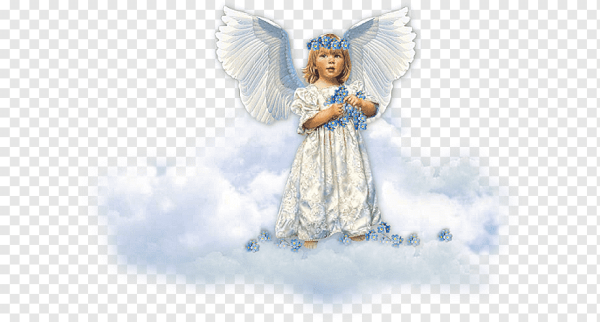 Ангел вектор