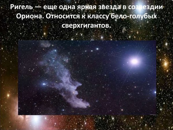 Беллатрикс звезда в созвездии