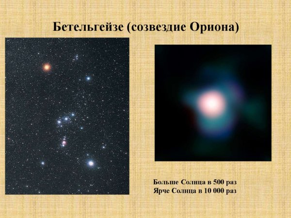 Беллатрикс в созвездии Ориона