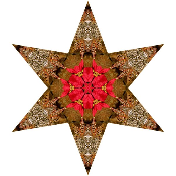 Звезда колядовщиков