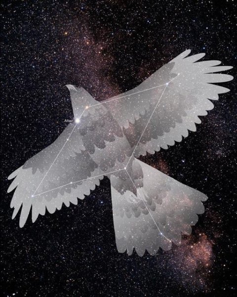 Альтаир светимость звезды