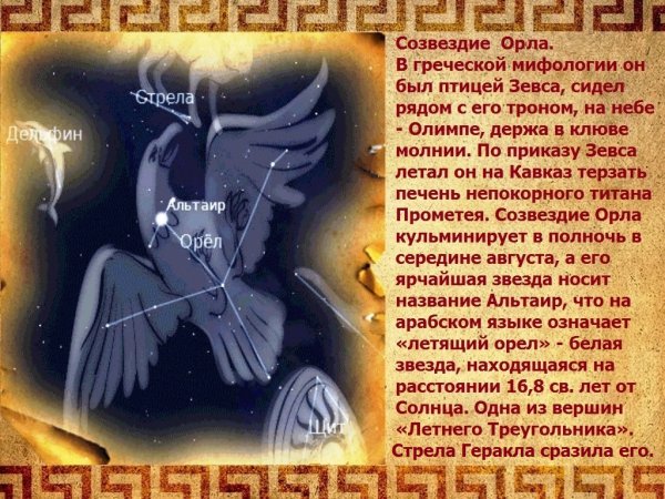 Созвездие орла гравюра