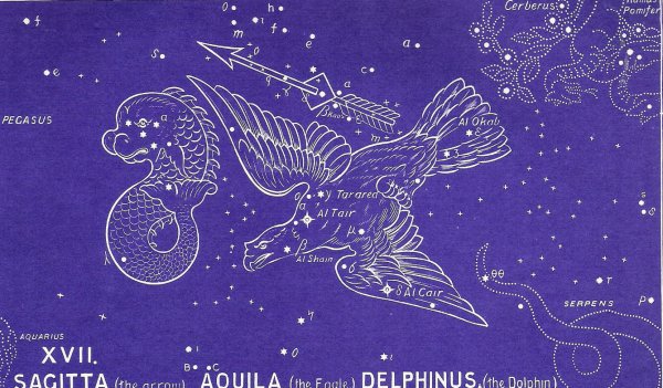 Орёл звезда Альтаир