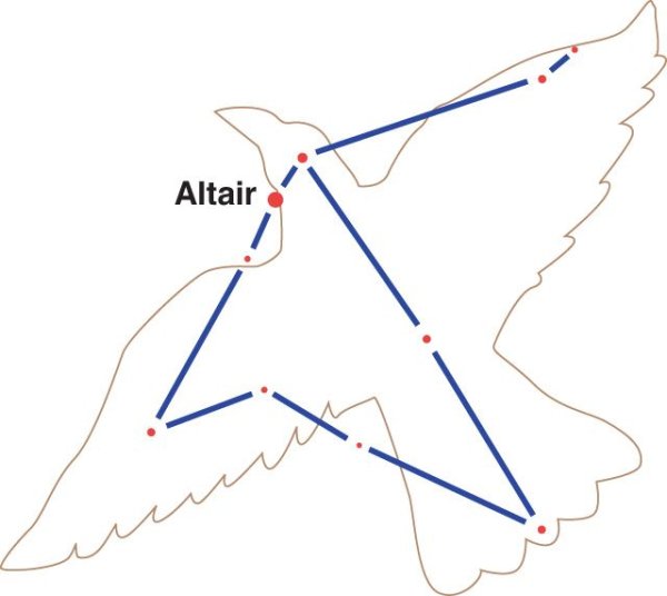 Звезда Альтаир в созвездии орла
