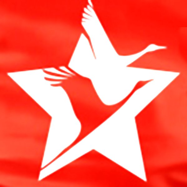 Бессмертный полк символ Журавлик