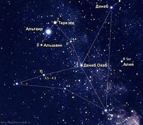 Звезда Альтаир в созвездии орла