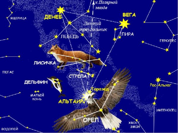 Астеризм летне-осенний треугольник
