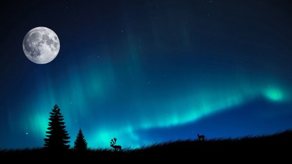 Ночное небо со звездами и луной