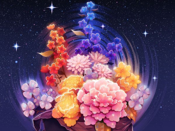 Цветы и звездное небо