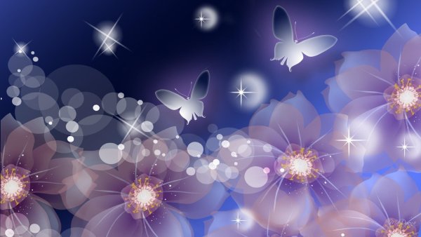 Сказочные цветы звезды