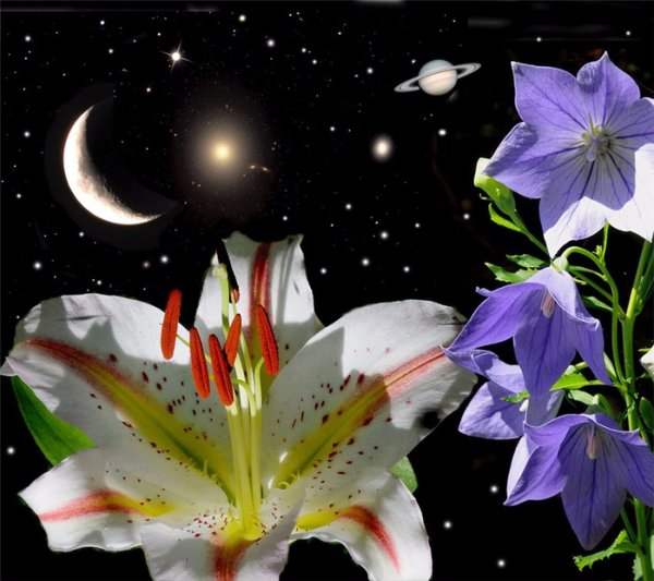 Звездное небо арт