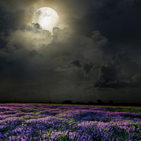 Разноцветные звездочки