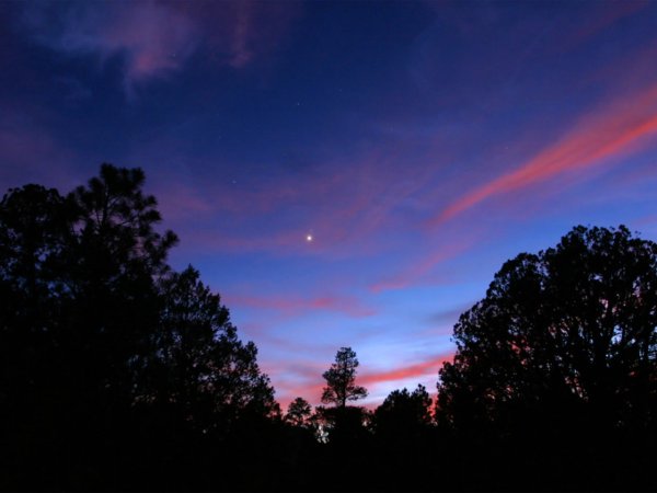 Первая звезда на небе