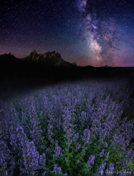 Аарон Гроэн Aaron groen фотограф