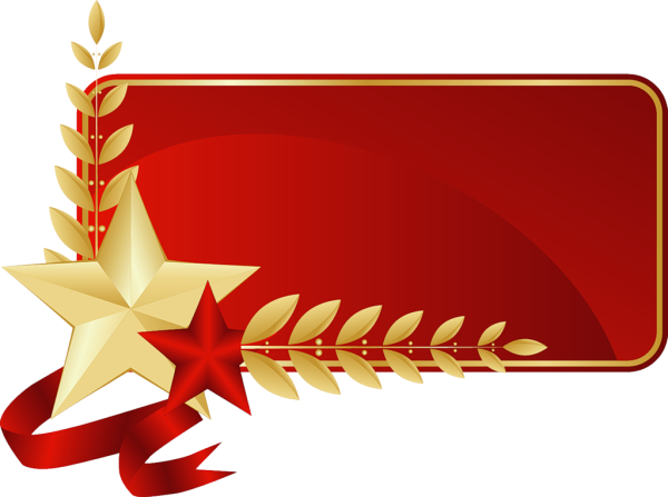 День защитника Отечества звезда