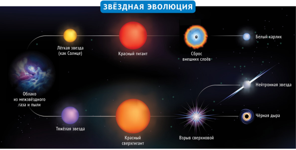 Жизненный цикл звезды